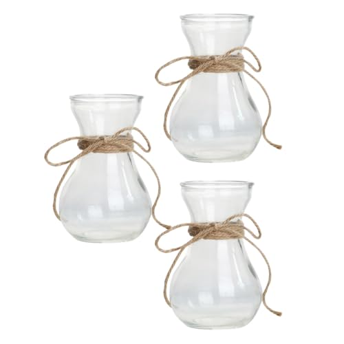 Jarrón de vidrio transparente hidropónico y contenedor de flores para interior 2