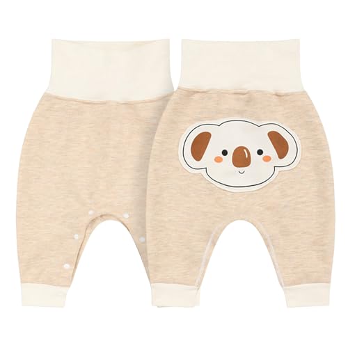 L[pc H~  q xr[    nCEGXg ۉ Ԃ Y{ vg EGXgS {^ t _炩 ւ LbY RbgOpc g ۈ珊 ۈ牀 oYj 1`5(80,x[W