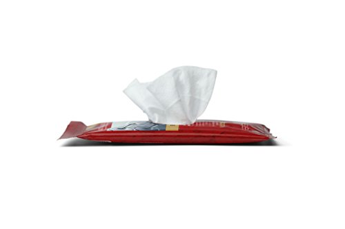 Granite Gold Granite Sealer Wipes, Water-Based Sealer Protection for Granite, Marble, Travertine, Natural Stone Countertops, 6 Count, 1 Pack