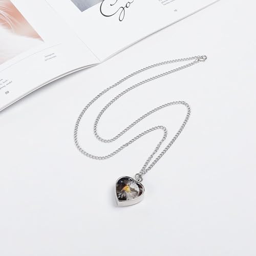Collier urne funéraire étanche, pendentif cœur pour cendres de chien et chat
