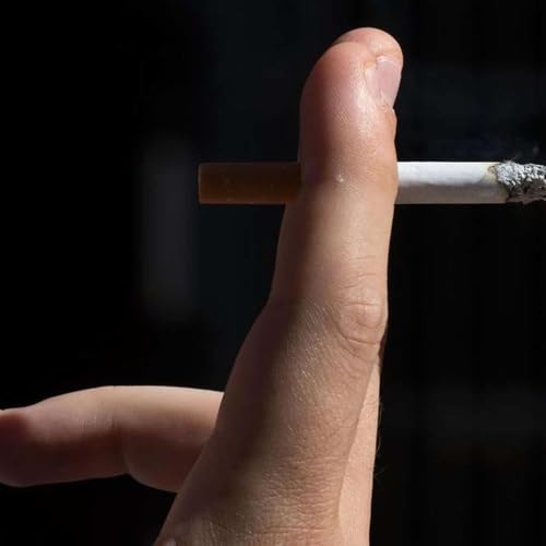 Global Cancer Preventable Cases Rise, FDA Fast Tracks Datroway, Rhino Migration Exposed, Ultra-Processed Foods Face Regulation, and more...