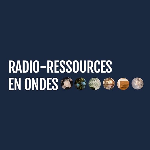Couverture de Radio-ressources en ondes