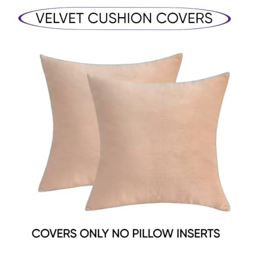 Image of Amazon Brand - Umi Velvet Decorative Cushion Cover 22x22 Inch - Set of 5, Soft Solid Square Throw Pillow Covers for Sofa, Living Room or Home Decor - 55x55 cm in Beige Color