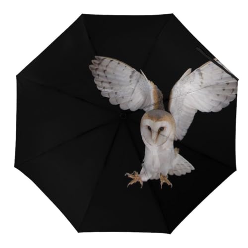 Parapluie pliable chouette effraie original, le cadeau utile et automatique