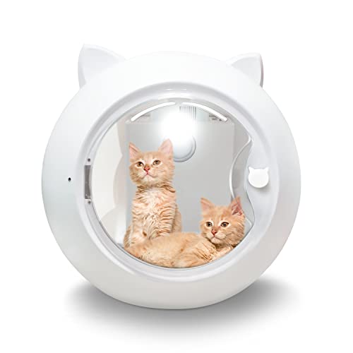 14 Best Cat Dryers to Make your Cat Shine Like New! CatLicking