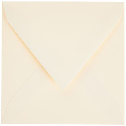 Clairefontaine confezione da pz. 20 Pollen 12017C