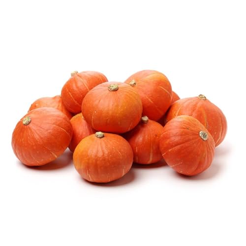 semillas de calabaza orgánicas - semillas de calabaza para oficina orgánicas balcón ornamentales - Serie Raras - balcón 30pcs