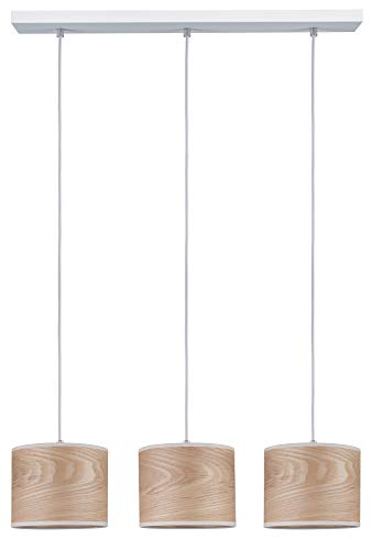 Paulmann 79641 Illuminazione da Soffitto Bianco