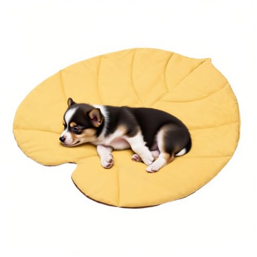 Tapis de couchage pour chats – 27,5 x 25,5 pouces, coussin imperméable pour animaux de compagnie, polyester double face | Coussin de sol lavable isolé pour...