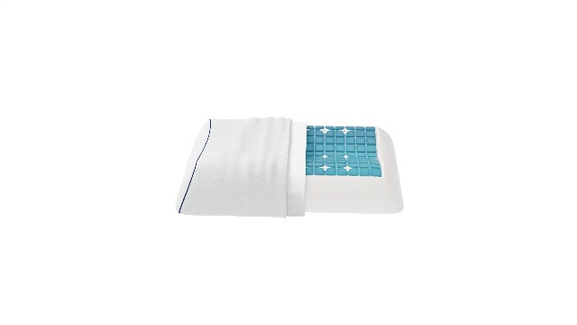Amazon.com: Technogel Anatomic Cooling Gel Pillow – Dual