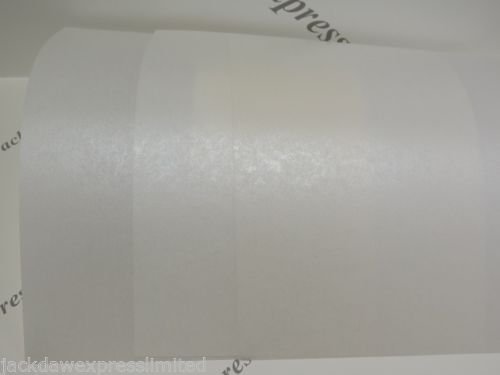 Vellum Parchment Pearlescent Shimmer 115gsm A4 x 10 (Pale Ivory)