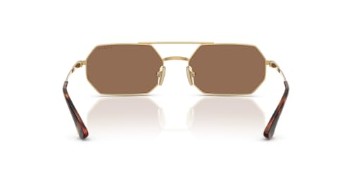 Vogue Eyewear Women's VO4329S Octagonal Sunglasses, Gold/Dark Brown, 55 mm4