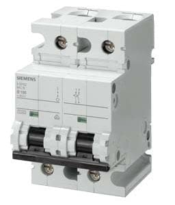 Siemens 5Sp42917Rc - 100A 2Pole 3Mw10Ka C Characteristics Mcb