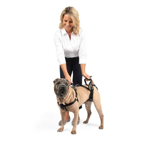 PetSafe Carelift, Unterstützungsgeschirr für Hunde, Ganzkörper-Hebehilfe mit Griff, für behinderte oder ältere Hunde, komfortabel, atmungsaktiv, einfach verstellbar, M
