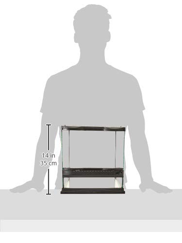 Miniatura 2 de Zoo Med Laboratorios SZMNT1 Terrario Naturalista, Pequeño