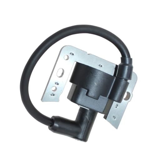 Bobine d'allumage LEV100 et LV195EA pour un démarrage stable du moteur