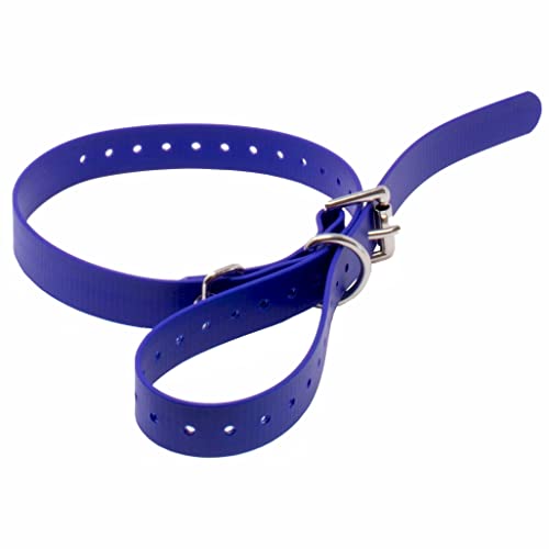 Educator Biothane Collar, 3/4-Inch, Blue - Image 3