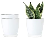 Diseño compacto – Con superficie mate estable de plástico para plantas que proporcionan un estilo minimalista y moderno que hace que sea perfecto para el hogar y la oficina. Moreover, el interior de la planta es suave y brillante para una limpieza fácil, puedes cambiar las plantas para que se adapten mejor a tu hogar.
