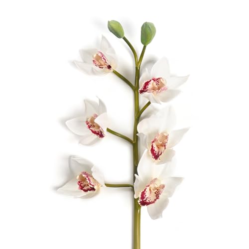 Image of PURE HOME + LIVING White Faux Boat Orchid Spray (Made of Plastic, Wire and Fabric) for Home, Office and Living Room Decorations (Without Vase)(Height-76cm) Pack of 1