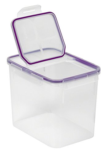 Snapware 17-Cup Airtight Flip Storage Container, Plastic, Clear (1098425), Medium