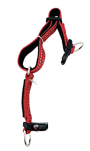 Albcorp Reflective Service Dog Collar - Service Dog Rubber Patch - Durable D-Ring For Service Animal Leashes Or Id Tags, Small, Red #TOP5