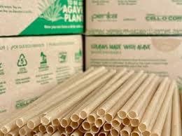 Pitillos biodegradables Penka agave negro 7.75 pulgadas miniatura 5