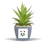Materiale: vaso e foglie verdi sono realizzati in plastica, questo ananas dal design unico in vaso è un piccolo ornamento ideale