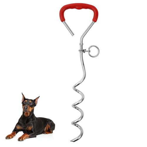Aomig Anclaje Suelo Perros 40cm, Estaca, Inoxidable Espiral