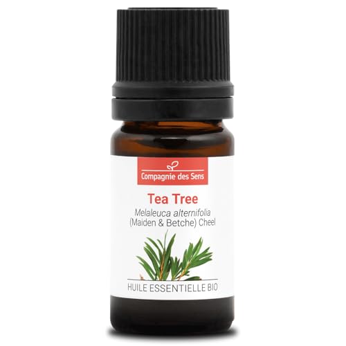 ARBOL DE TÉ - 5 mL - Aceite Esencial Orgánico de Calidad Superior - 100% Puro, Natural, Quimiotipado y Certificado AB