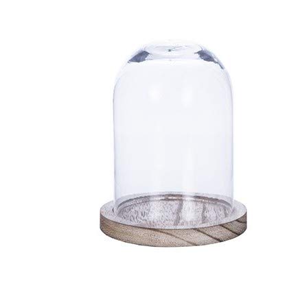Campana de Cristal con Base Madera (22cm)