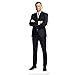 Ray Donovan Cardboard Cutout Standee