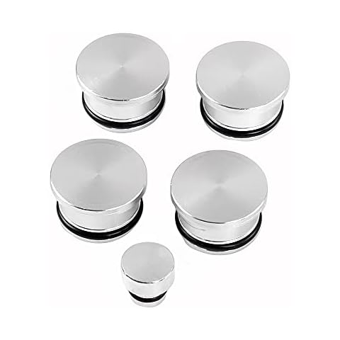 muge racing Aluminum Inlet Manifold Swirl Flap Blanks, 55210202 55210201 Fit for Alfa Romeo Fiat Vauxhall SAAB 1.9 Z19DTH Cover