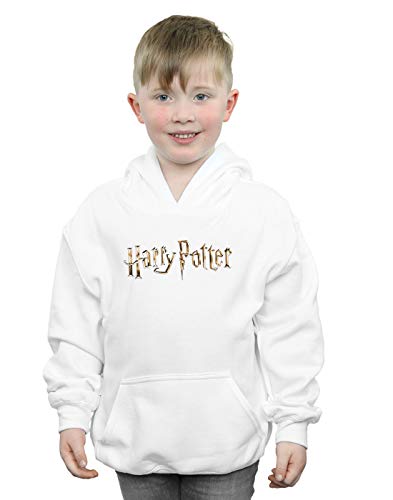 Harry Potter Boys Full Colour Logo Hoodie White 9-11 Years