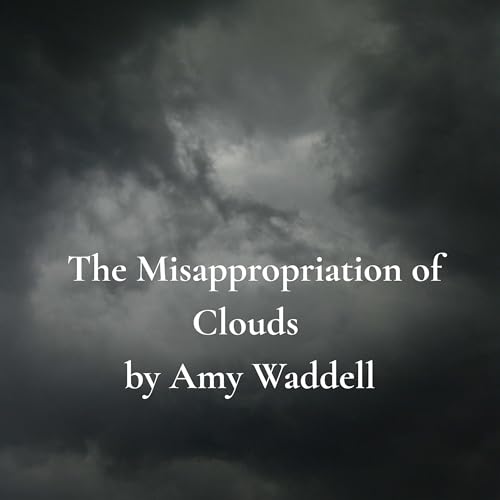 The Misappropriation of Clouds by Amy Waddell