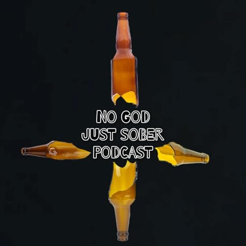 Page de couverture de No God Just Sober