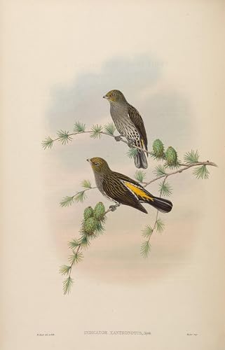 Tableaux modernes oiseau 60x90cm pour réussir la décoration de votre bureau