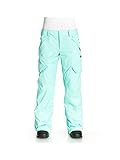 DC Junior's Ace Snow Pant