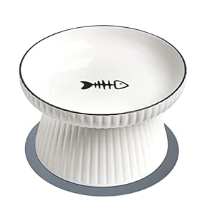 Skrtuan Eleganter Keramik-Katzennapf Erhöht 7in