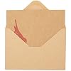 Best Paper Greetings Blank Note Cards with Bird Design - 4 x 6 In, Brown, 36-Pack, Rustic - Kraft Paper Notecards & Envelopes