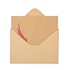 Best Paper Greetings Blank Note Cards with Bird Design - 4 x 6 In, Brown, 36-Pack, Rustic - Kraft Paper Notecards & Envelopes