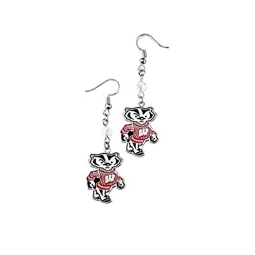 Dangle Earrings by Fan Frenzy Gifts | University Logo Earrings for Women & Men with Stainless Steel Shepherd Hooks | Officially Licensed Sports Fan Merchandise, (University of Wisconsin)