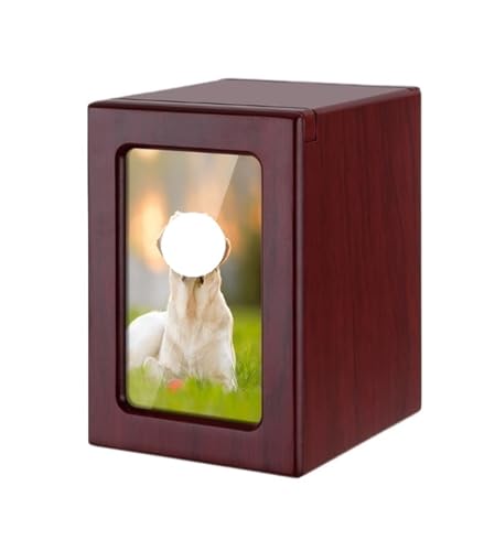 [e LO ybg܂͐lԂ̈Dp̃p[\iCYꂽؐAtHgt[tؐVΑ  pi(A)