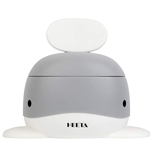 Best Potty Chair For Big Toddlers