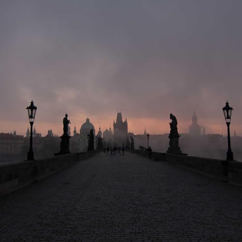 Flemyiu Reader's Digital Perspective cover art