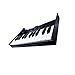 Roland K-25M Boutique Module Dock USB MIDI Keyboard, 12 inch (K-25M)