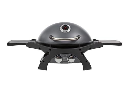 Pit Boss Sportsman 2 Tragbarer Gasgrill (aus Aluminiumguss, mit zwei Gasbrennern, Eingebautes Thermometer) 10754