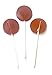Diabeticfriendly® Sugar Free Lollipops, CHOCOLATE Flavored, 1 lb, Isomalt Kosher Kof K Parve