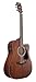 Ibanez AW54CE Artwood Traditional Acoustic-Electric Guitar - Open Pore Natural Bundle with Gig Bag, Strap, D'Addario Strings, Picks, Austin Bazaar Instructional DVD, and Polishing Cloth