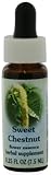 Sweet Chestnut Essence 7.40 Milliliters