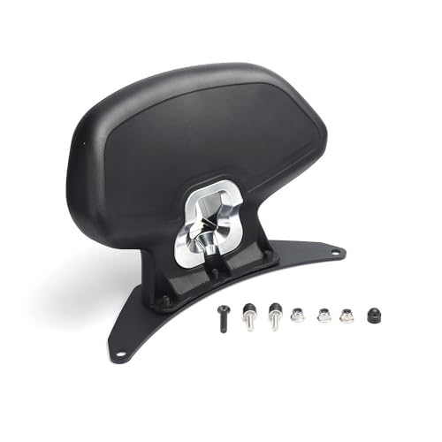 Dossier arrière moto pour voyages confortables en passager 350D 350M 350E - 3
